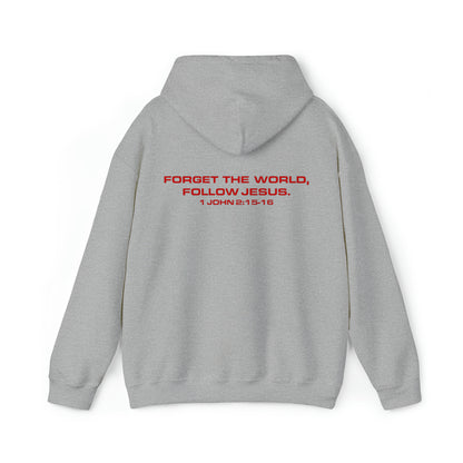 Bekka Allick: 1 John  2:15-16 Hoodie