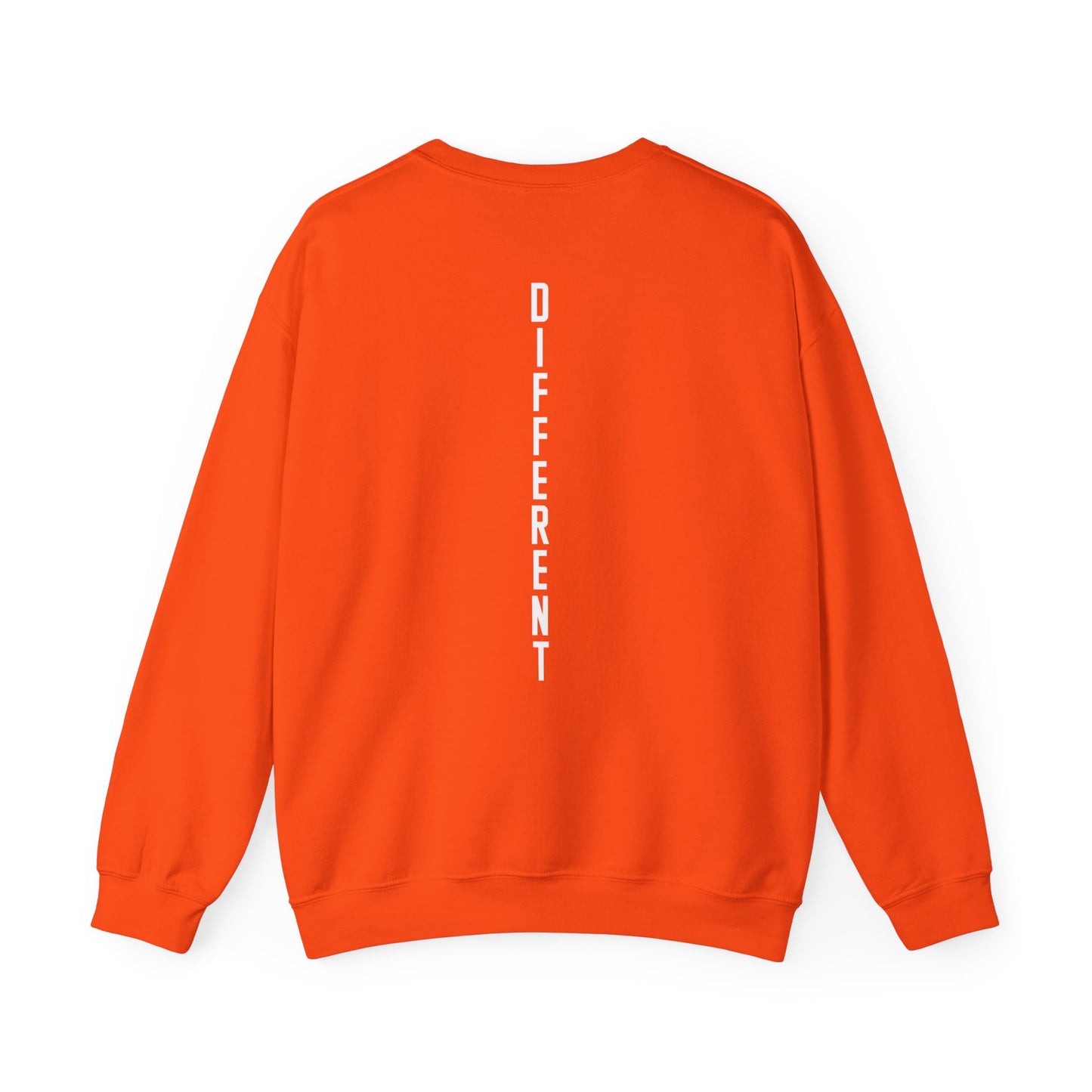 Rylee Holtorf: Different Crewneck