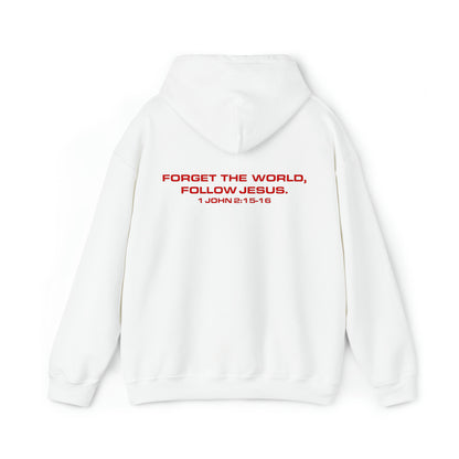 Bekka Allick: 1 John  2:15-16 Hoodie