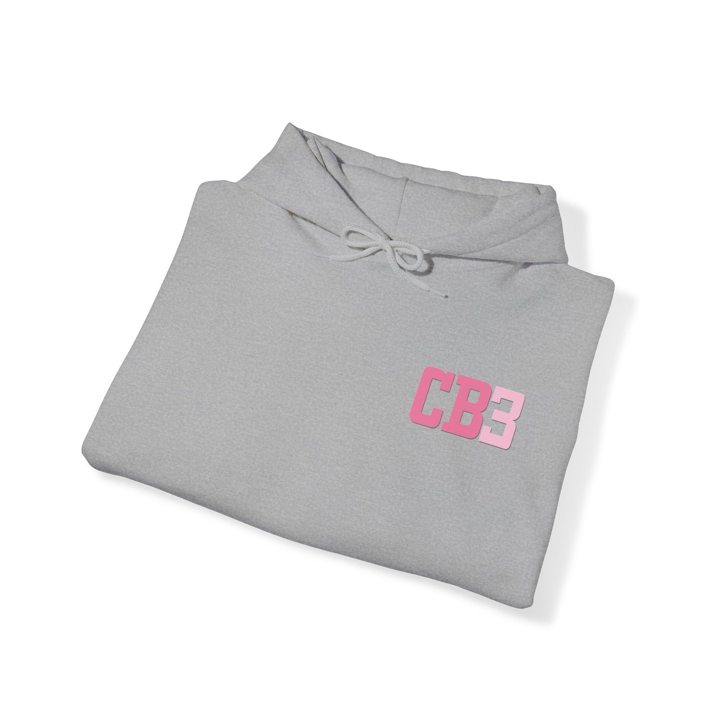 Celise Bobbitt: Psalms 91:11 Hoodie