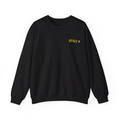 Janessa Kelley: HVNLY Crewneck