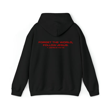 Bekka Allick: 1 John  2:15-16 Hoodie