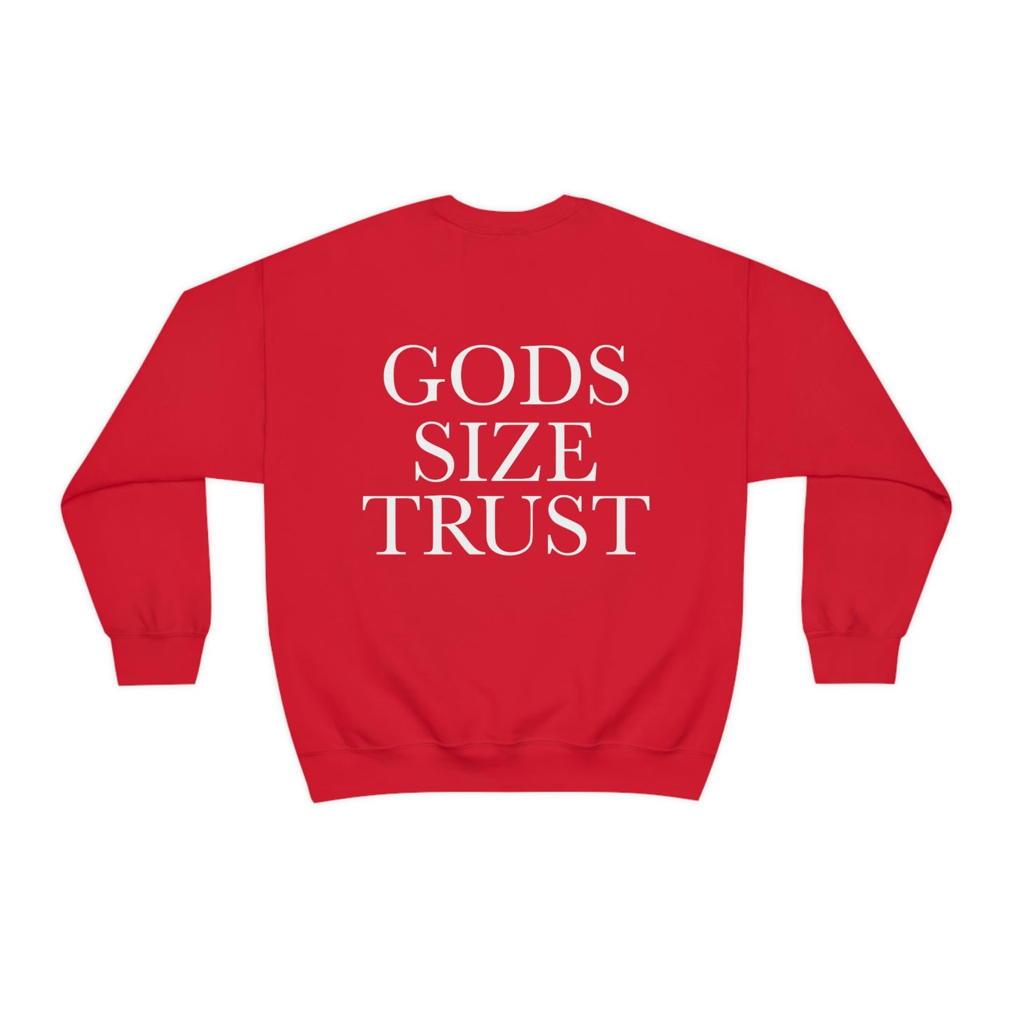 Brian Leonhardt: Gods Size Trust Crewneck