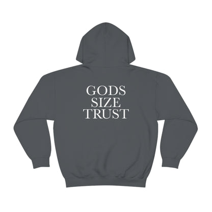 Brian Leonhardt: Gods Size Trust Hoodie